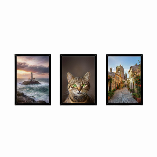A4 Size Photo Frame Set of 3 | Wall Mount