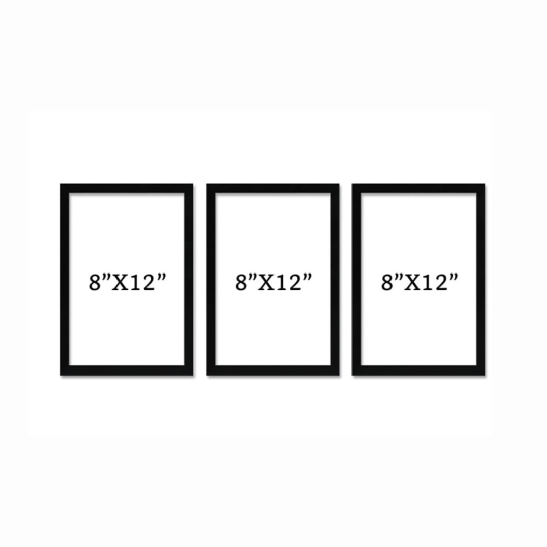 A4 Size Photo Frame Set of 3 | Wall Mount